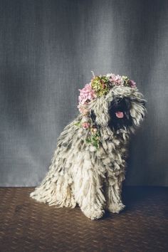 a stuffed dog with a flower crown on it's head sitting in front of a gray background