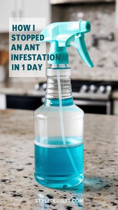 DIY Ant Repellent Diy Indoor using a Natural Ant Repellant For Home to keep Ants Repellent Diy at bay with this easy Diy Ant Killer and Ant Killer Spray.