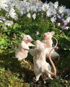 two toy mice playing with each other on the ground in front of flowers and grass