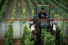 a man driving a tractor through a lush green field