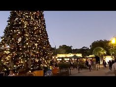 a large christmas tree in the middle of a park with people walking around it at night