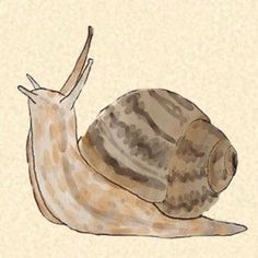 a drawing of a snail on a beige background