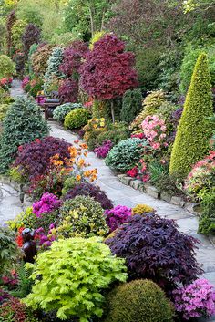 a garden filled with lots of different types of flowers