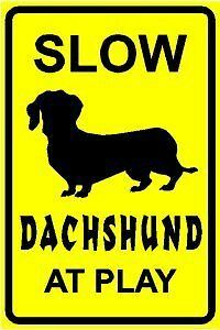 a black and yellow sign that says slow dachshund at play