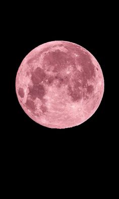 the full pink moon is in the dark sky