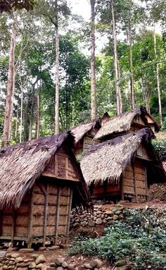 an old wooden house with thatched roof surrounded by trees in the jungle, on a hill