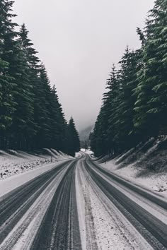 the road is covered in snow and has lots of trees on both sides as well