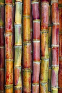 many different colored bamboo sticks are lined up in the same pattern and color as they appear to be painted