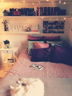 a cat laying on top of a bed next to a book shelf