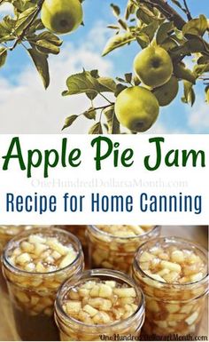 apple pie jam recipe for home canning with apples in the background and text overlay