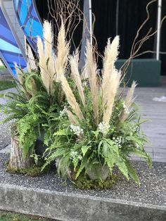 two planters with plants in them sitting on the ground