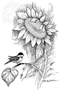 a drawing of a sunflower with a bird sitting on it's branch next to the flower