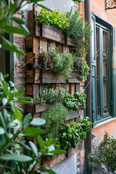 a wooden pallet filled with lots of plants next to a brick wall and window