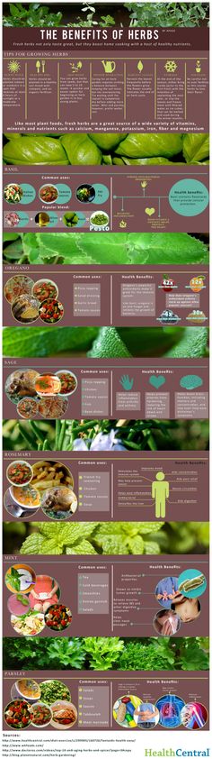 the benefits of herbs info sheet