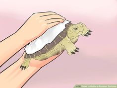 a turtle being held in the palm of someone's hand with soap on it