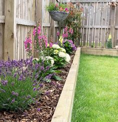 a garden with purple flowers and green grass next to a wooden fence in the back yard