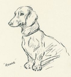 a black and white drawing of a dog with a collar on it's neck