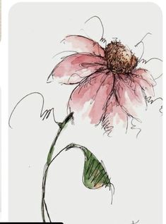 a drawing of a pink flower on a white background