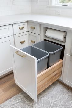 two bins in the middle of a kitchen cabinet