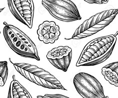 black and white hand drawn illustration of leaves, flowers and seeds on a white background