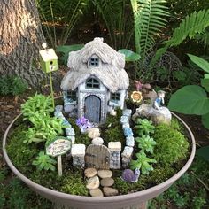 a fairy garden in a pot with rocks and plants