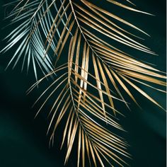 a palm tree branch against a dark green background with gold foiling on the leaves