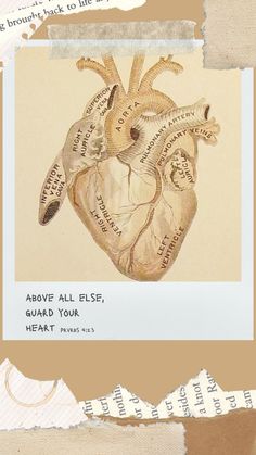 an altered photograph of a heart with words on it