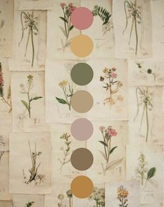 Tone Color Palette, Earth Tone Color Palette, Earth Tone Color, Color Schemes Colour Palettes, Theme Color, Wedding Color Palette, Soft Autumn, Color Palette Design, Color Inspo