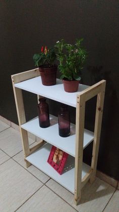 a shelf with some plants on top of it