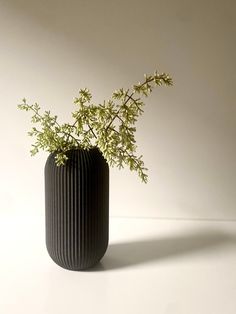 a black vase with some green plants in it