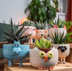 four planters with plants in them sitting on a wooden table next to each other