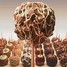 chocolate covered apples and candies are arranged on sticks