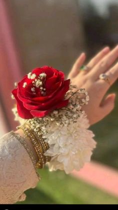 a woman's hand holding a red rose and white flowers