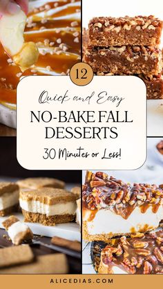 no - bake desserts with text overlay that reads quiet and easy no - bake desserts 30 minutes or less