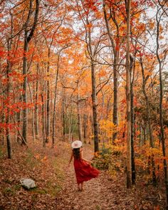 a woman in a red dress and hat walking through the woods with leaves on the ground