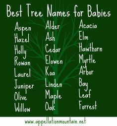 the best tree names for babies are in green and white, with words above them