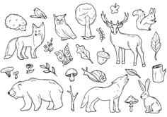 an image of animals and plants in black and white