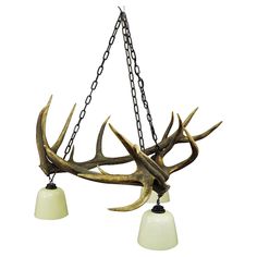 an antler's head hanging from a chandelier with two lights on it