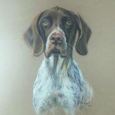 a drawing of a dog with blue eyes