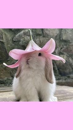 a rabbit with a pink flower on its head