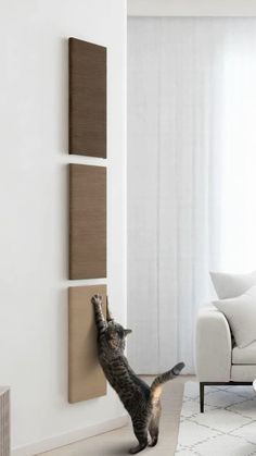 a cat standing on its hind legs in front of a wall mounted panel with two panels