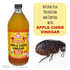 a bottle of apple cider vinegar next to an image of a cockroach