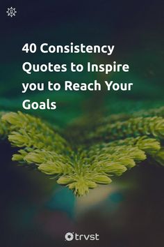 an image of a green plant with the words 40 constiency quotes to inspire you