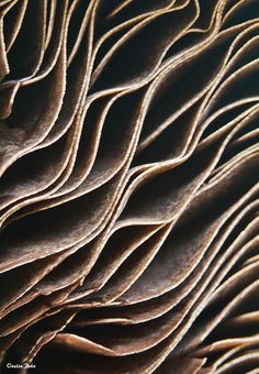 close up view of an abstract pattern made from brown paper