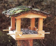 a bird feeder with moss growing on the roof