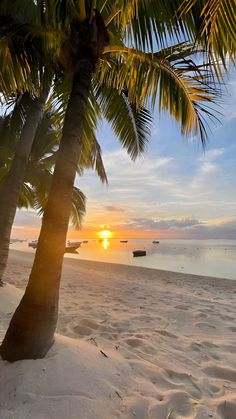 the sun is setting behind two palm trees on a beach with boats in the water