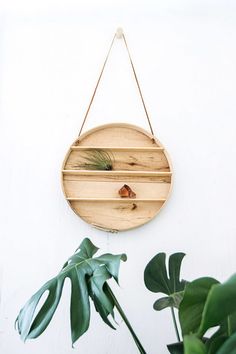 a round wooden wall clock hanging on a white wall next to a potted plant