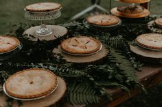 several pies are arranged on the table with greenery