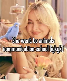 a woman sitting at a table with a blue bird on her arm and the caption she went to animals communication school if