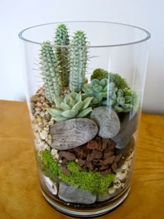 a glass filled with rocks and plants on top of a wooden table